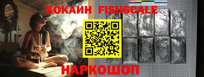 шишки Бийск