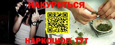 шишки Бийск
