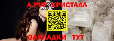 шишки Бийск