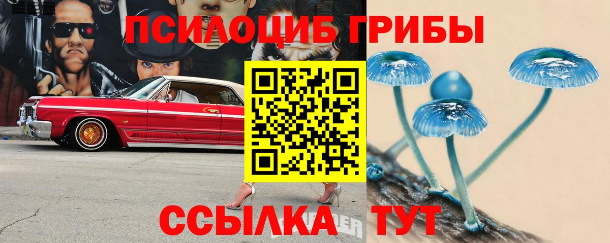 Зима  Псилоцибиновые грибы Magic Shrooms  Вход с VPN 