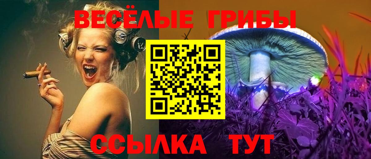 Галлюциногенные грибы прущие грибы Зима